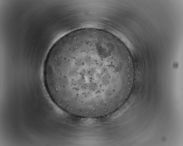 X0000102860991200808251222