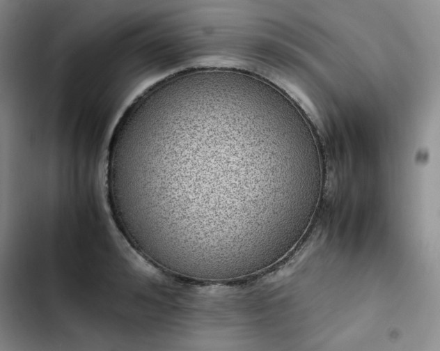 X0000102860992200808251222