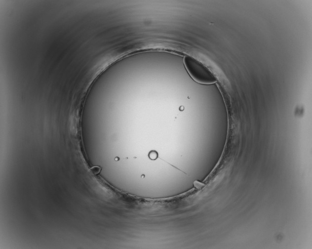 X0000102860993200808251222