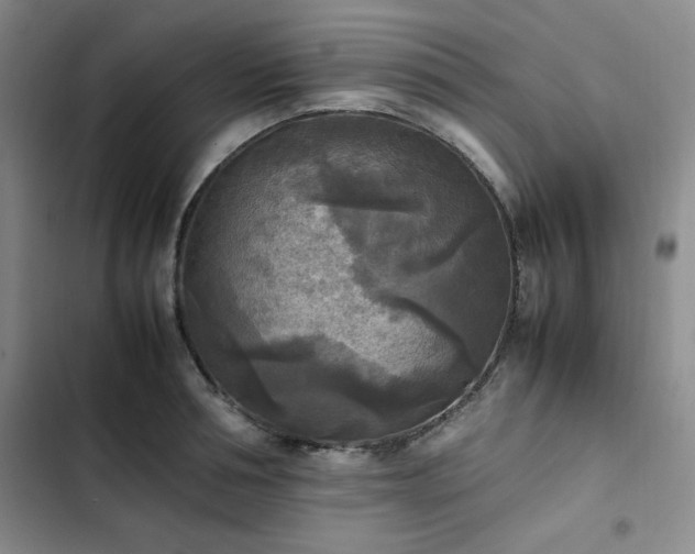 X0000102860994200808251222