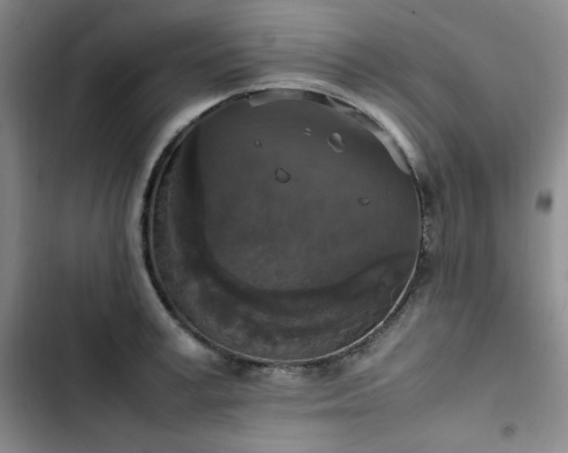 X0000102860995200808251222