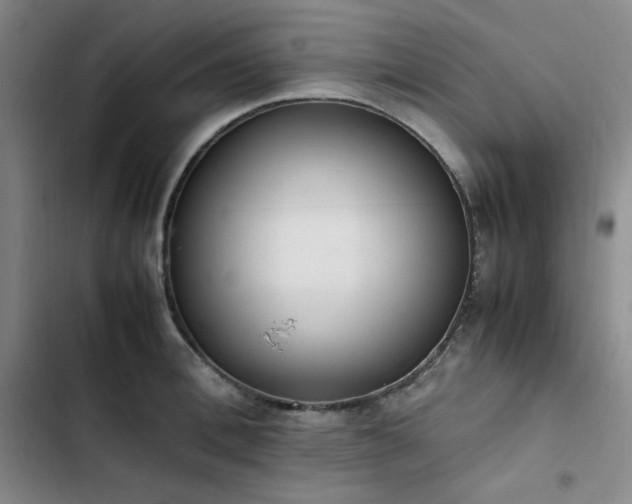 X0000102860996200808251222