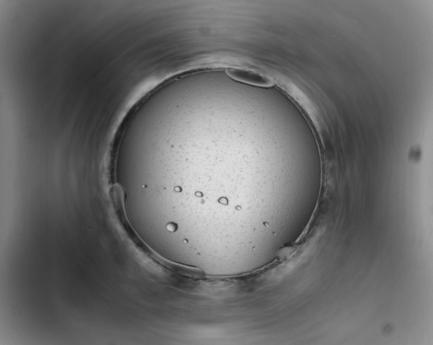 X0000102860997200808251222