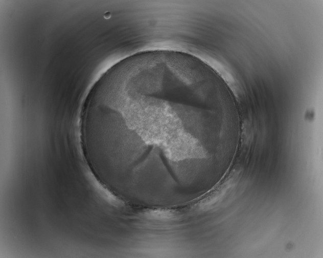 X0000102860998200808251222