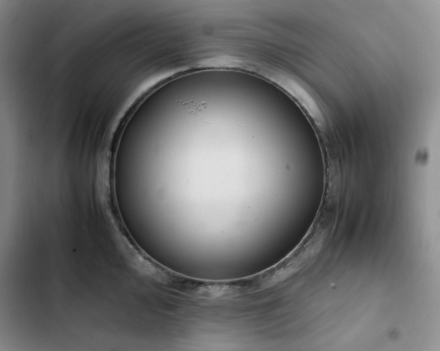 X0000102861000200808251222