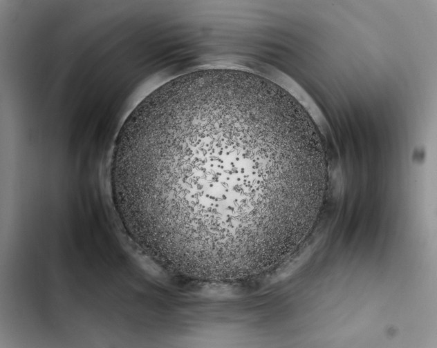 X0000102861002200808251222