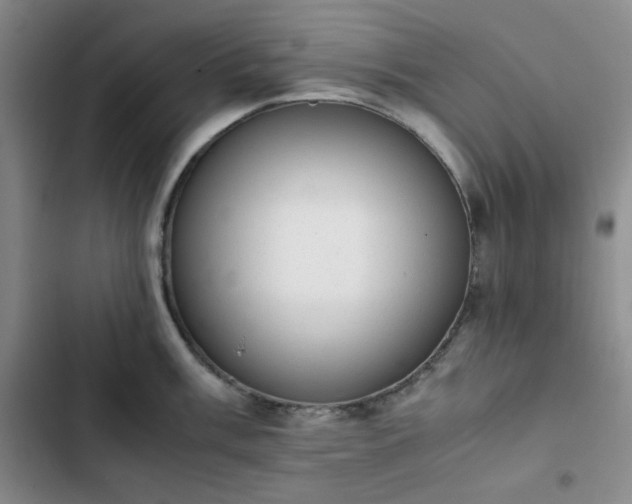 X0000102861003200808251222