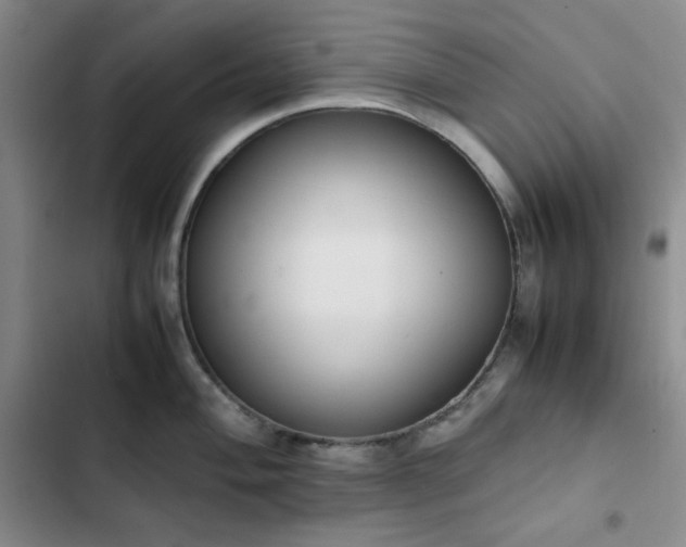 X0000102861004200808251222