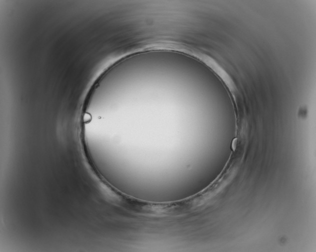 X0000102861005200808251222