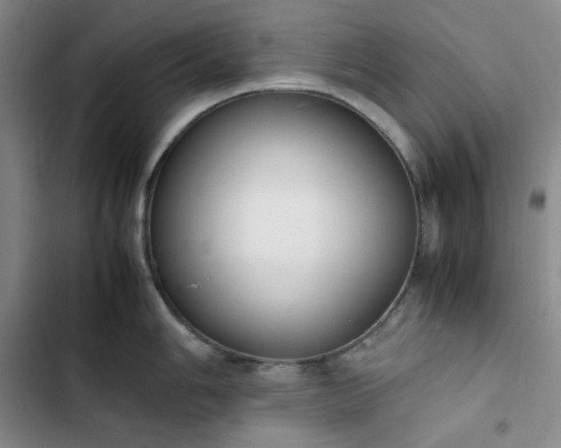 X0000102861006200808251222