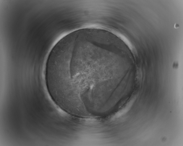 X0000102861007200808251222