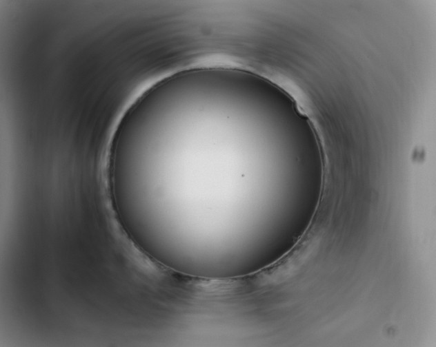 X0000102861008200808251222