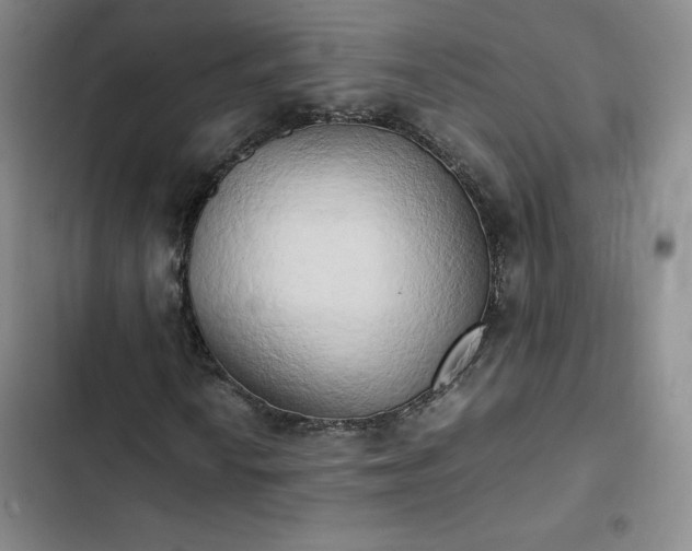 X0000102861010200808251221