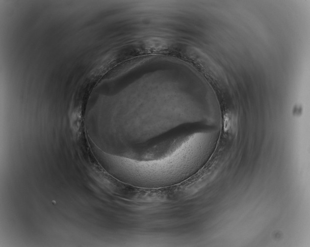 X0000102861011200808251221