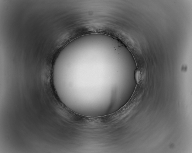 X0000102861012200808251221