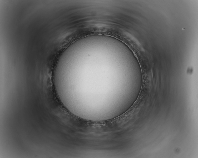 X0000102861013200808251221