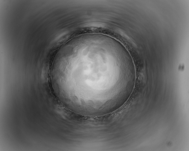 X0000102861014200808251221