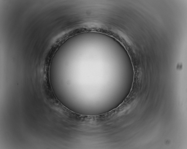 X0000102861016200808251221