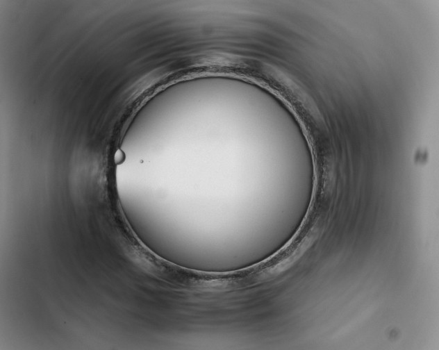 X0000102861017200808251221