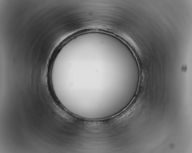 X0000102861020200808251221