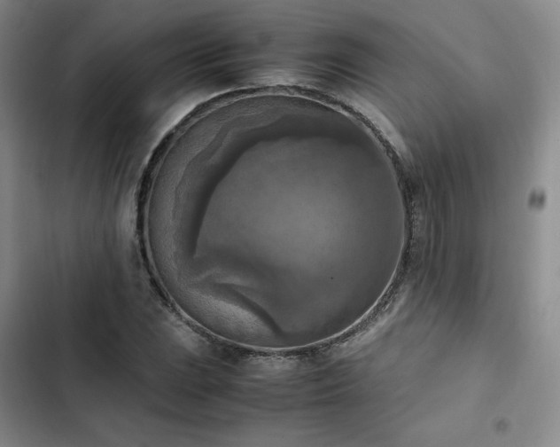 X0000102861023200808251221