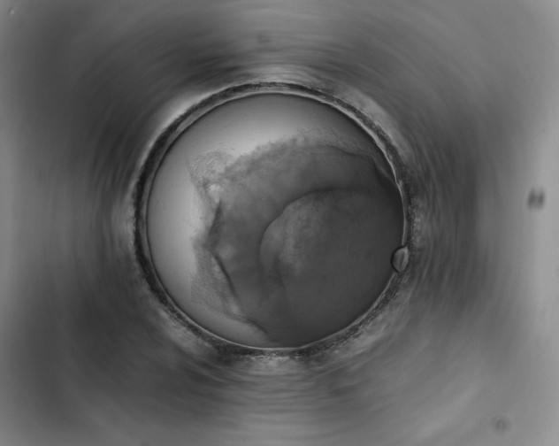 X0000102861024200808251221