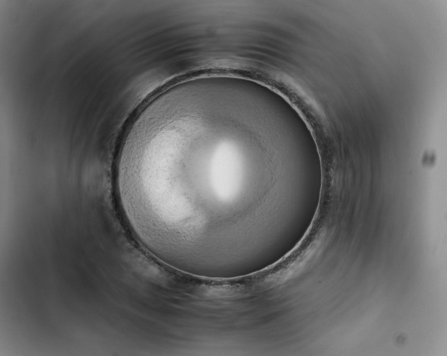 X0000102861025200808251221