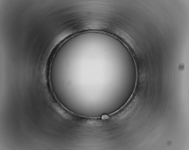 X0000102861026200808251221