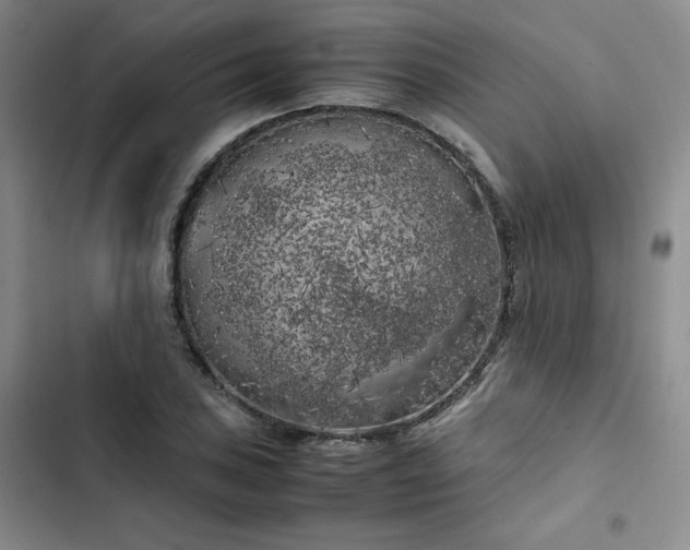X0000102861027200808251221