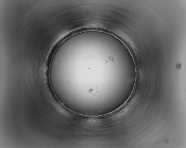 X0000102861029200808251221