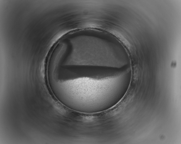 X0000102861031200808251221