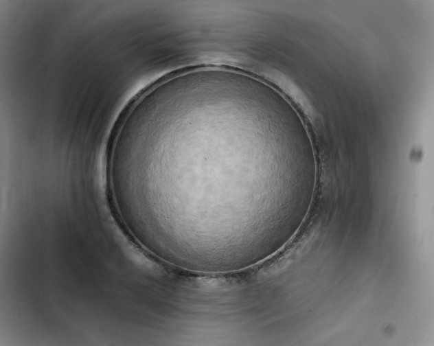 X0000102861032200808251221