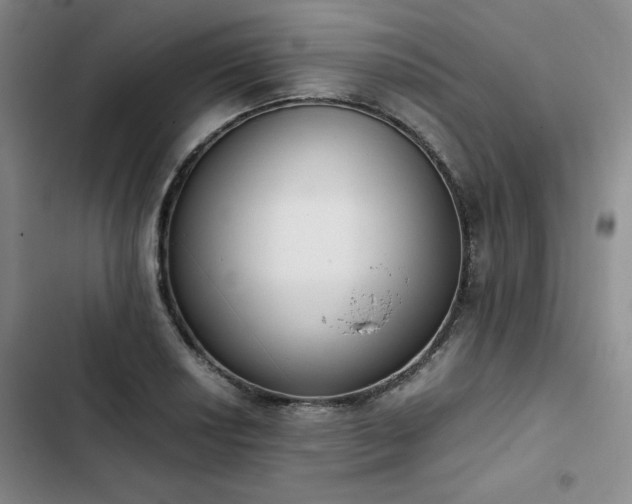 X0000102861034200808251221