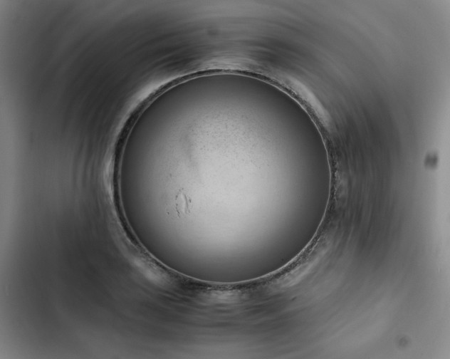 X0000102861035200808251221