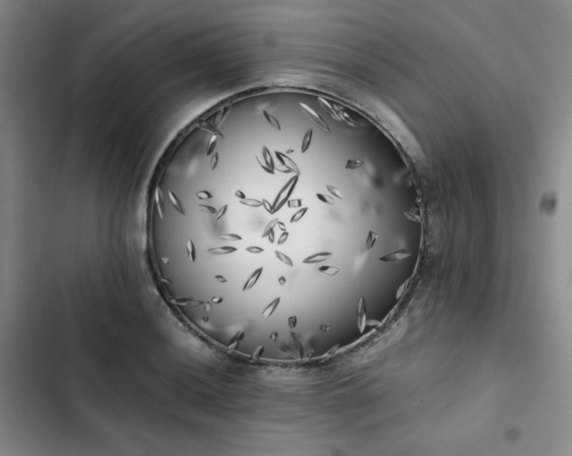 X0000102861036200808251221