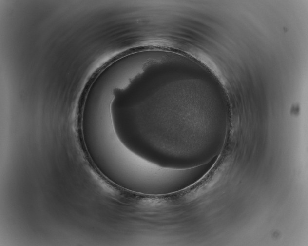 X0000102861037200808251221