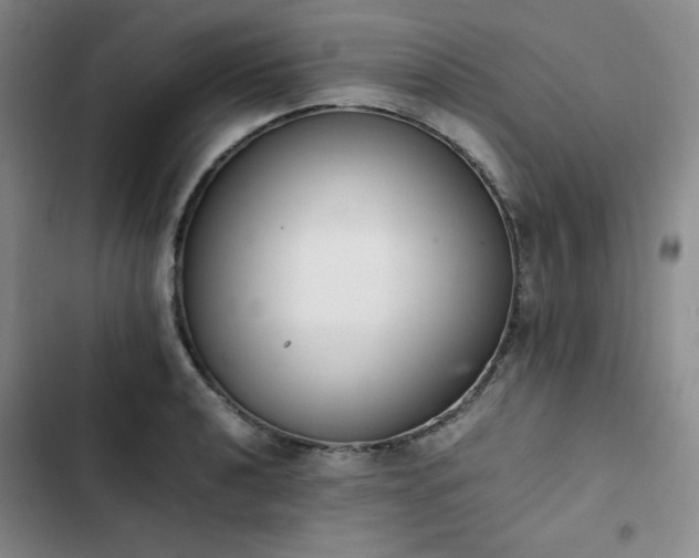 X0000102861040200808251221