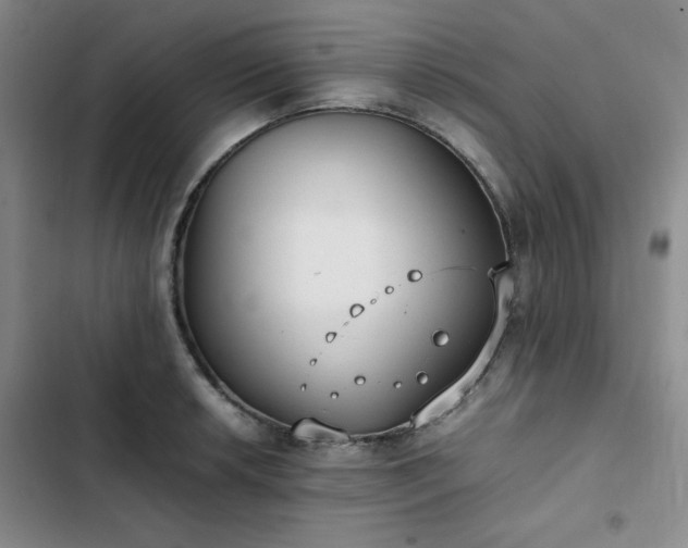 X0000102861042200808251221