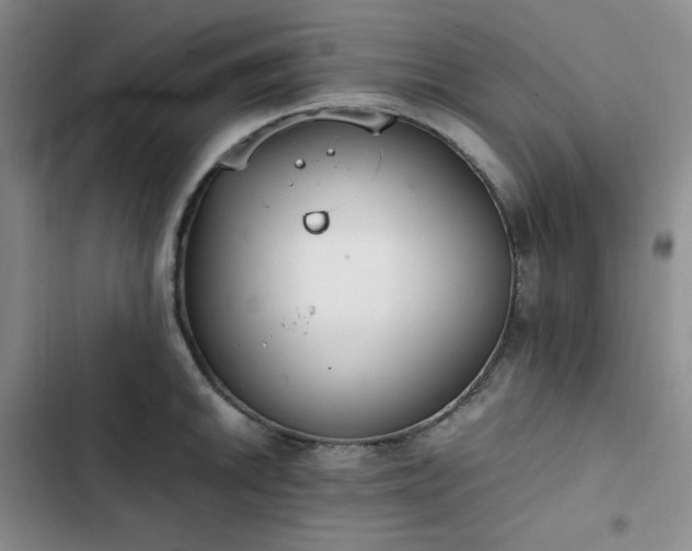 X0000102861046200808251221