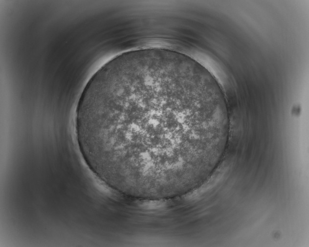 X0000102861047200808251221