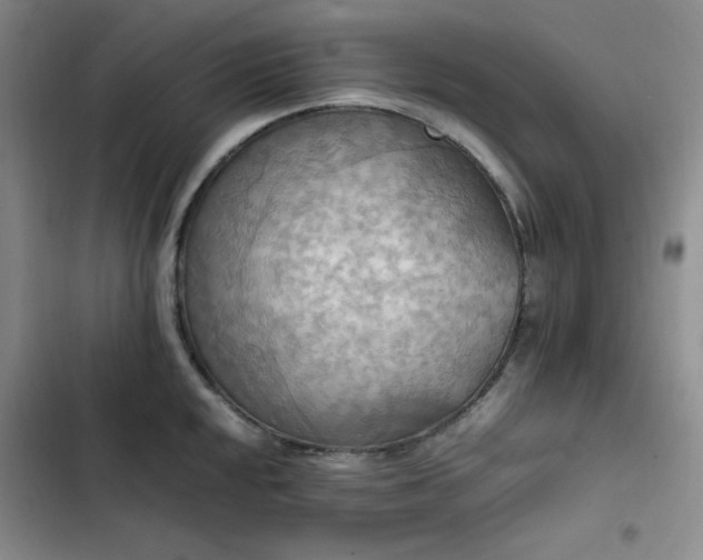 X0000102861048200808251221