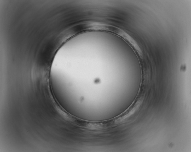 X0000102861049200808251221