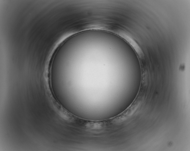 X0000102861051200808251221