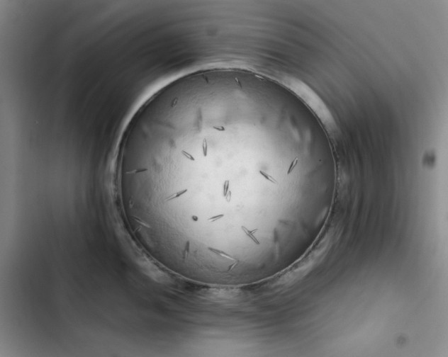 X0000102861052200808251221