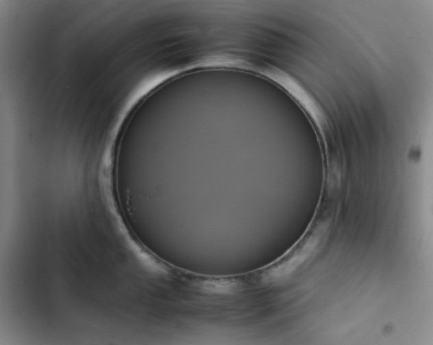 X0000102861053200808251222