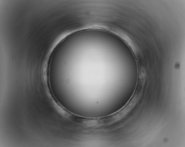 X0000102861054200808251222