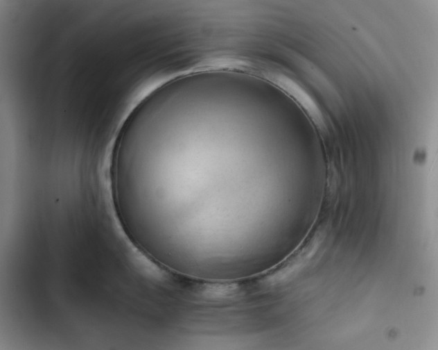 X0000102861055200808251222