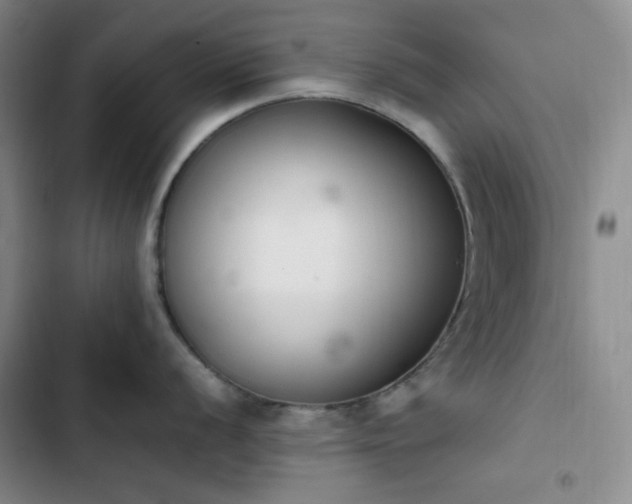 X0000102861056200808251222