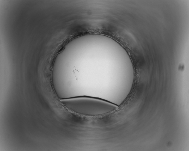 X0000102861057200808251221