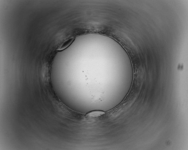 X0000102861058200808251221